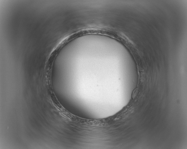 X0000054371208200508262332