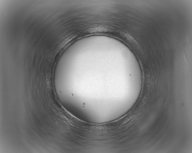 X0000054371217200508262332