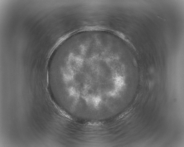 X0000054371221200508262332