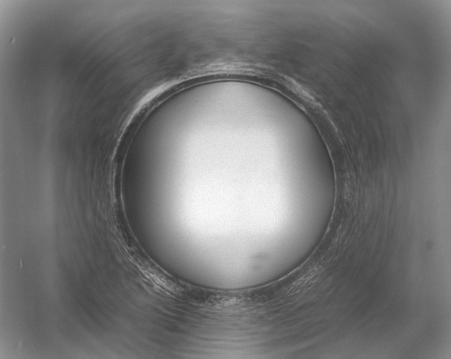 X0000054371222200508262332