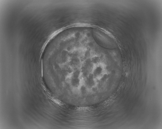 X0000054371223200508262332