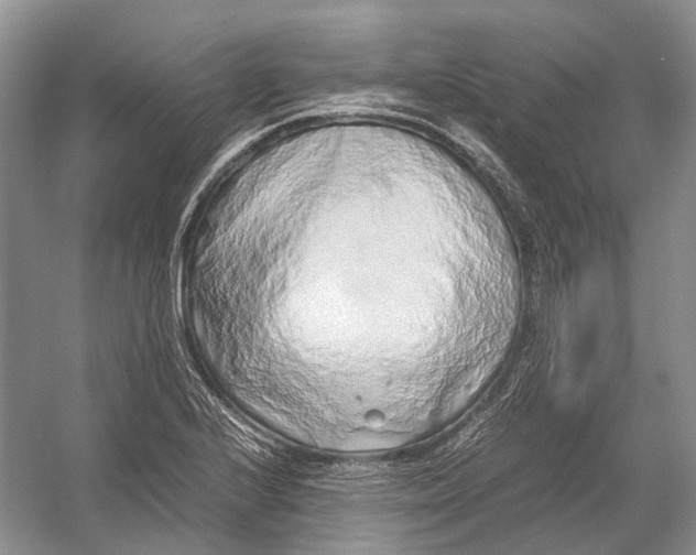 X0000054371224200508262332