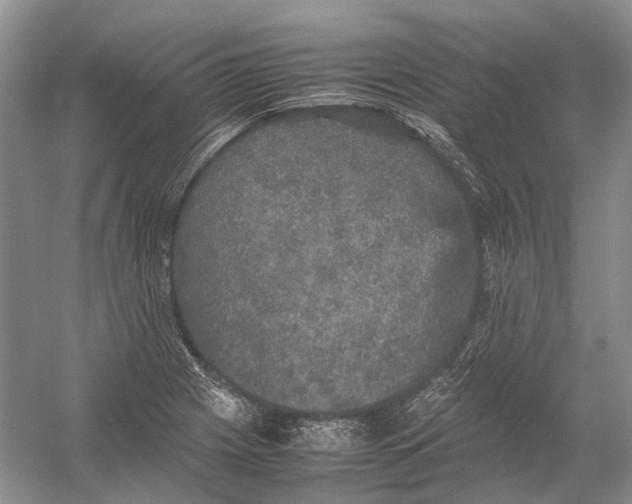 X0000054371225200508262332