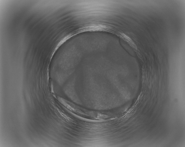 X0000054371226200508262332