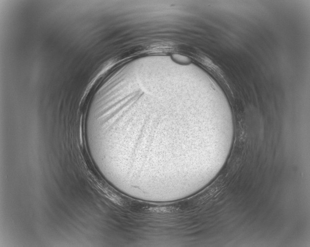 X0000054371227200508262332