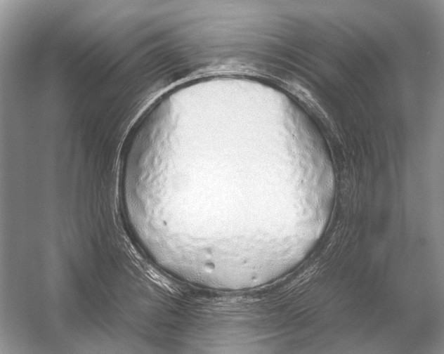 X0000054371228200508262332