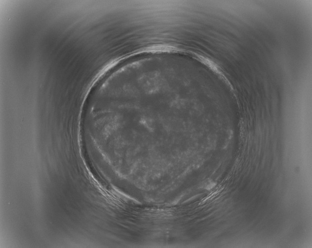 X0000054371229200508262332