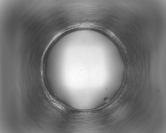 X0000054371232200508262332