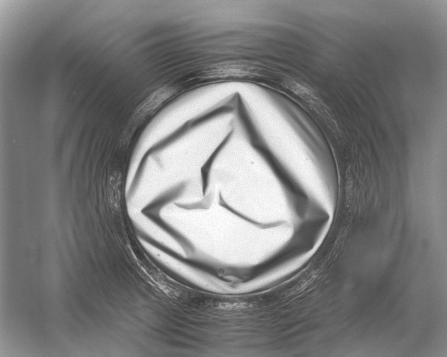 X0000054371233200508262333