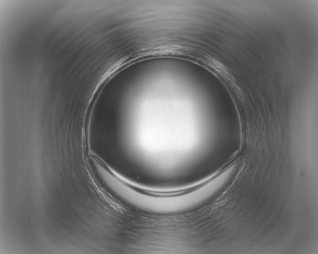 X0000054371234200508262333