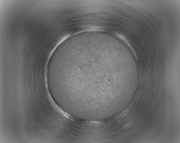 X0000054371235200508262333