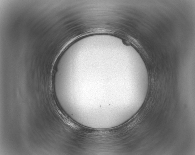 X0000054371236200508262333