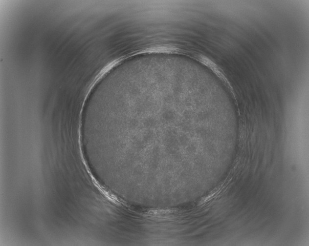 X0000054371237200508262333