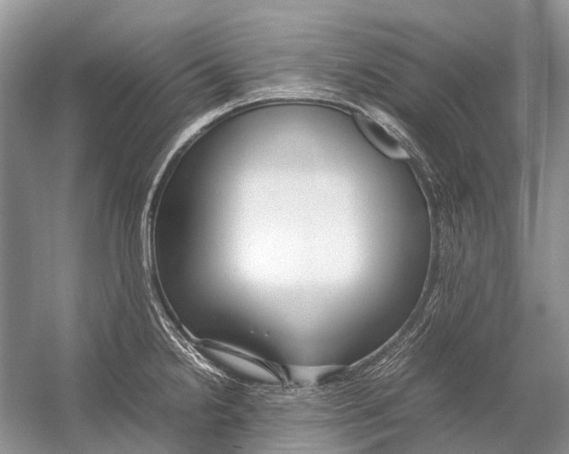 X0000054371238200508262333