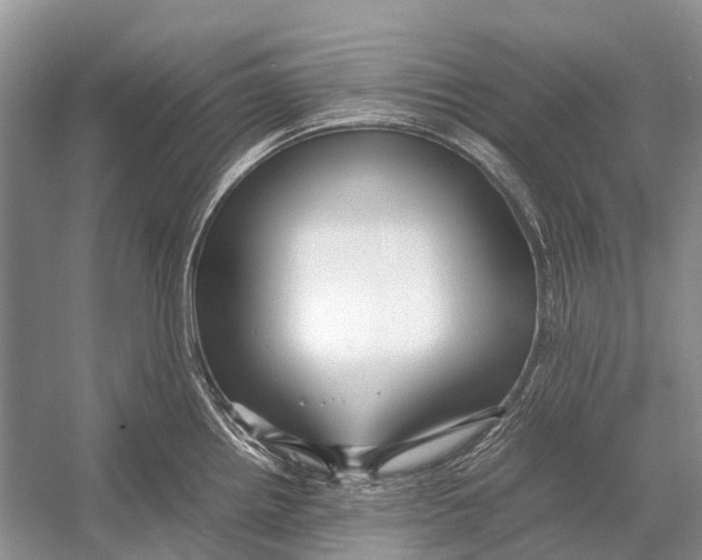 X0000054371242200508262333