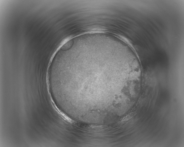 X0000054371243200508262333