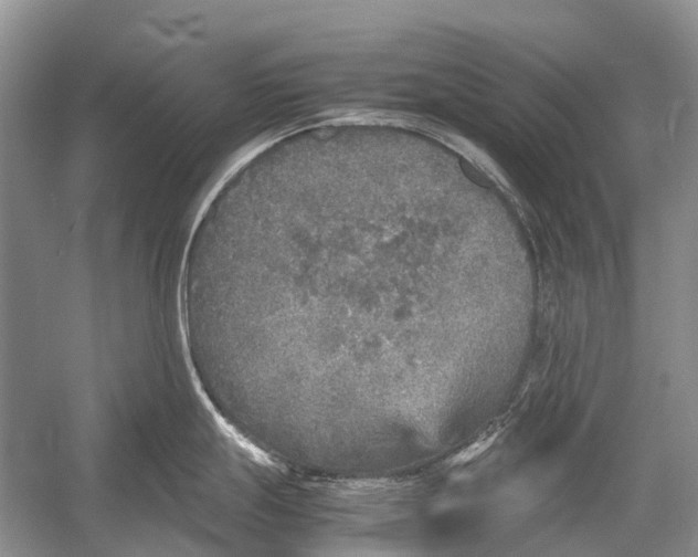 X0000054371247200508262333