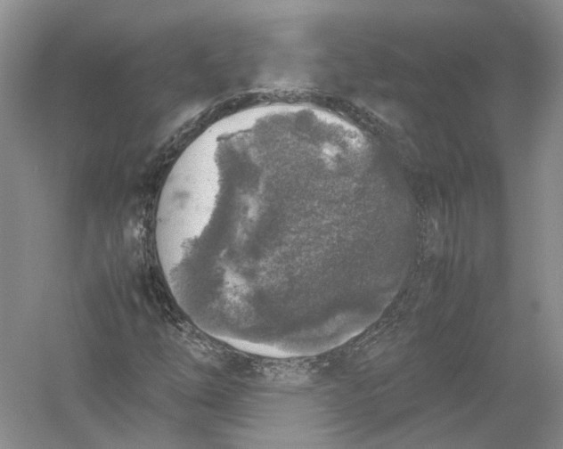 X0000054371254200508262332