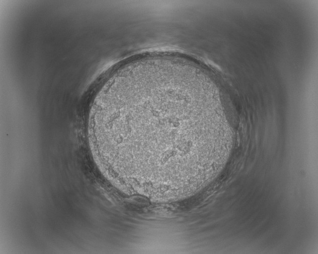 X0000054371255200508262332