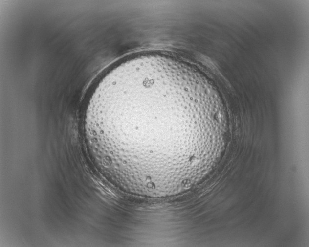 X0000054371260200508262332