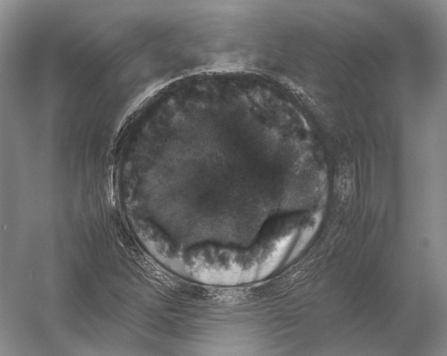 X0000054371262200508262332