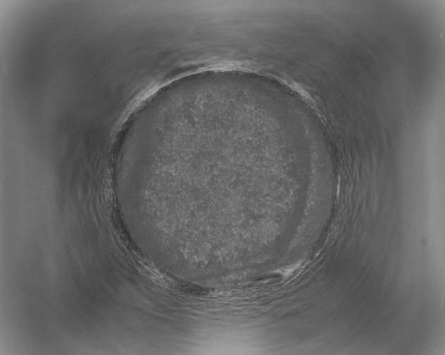 X0000054371263200508262332