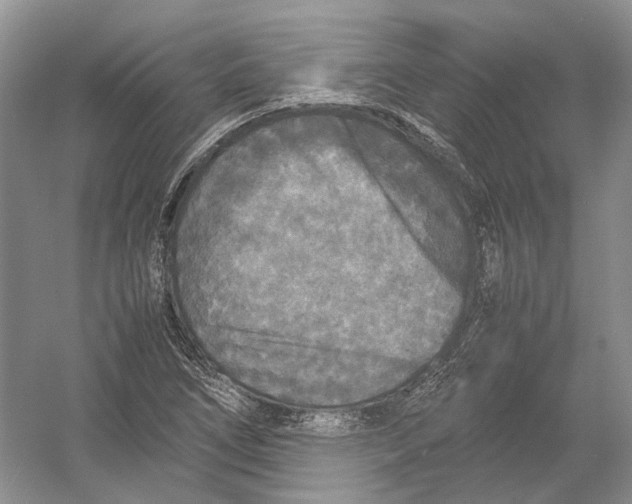 X0000054371266200508262332