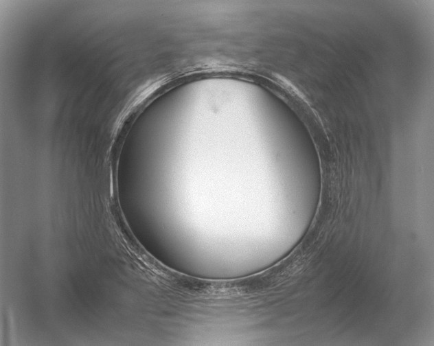 X0000054371269200508262332