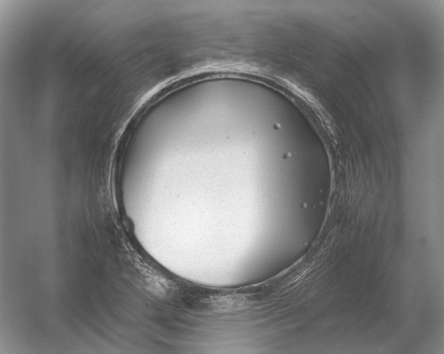 X0000054371272200508262332