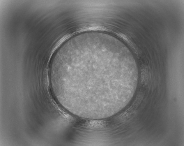 X0000054371274200508262332