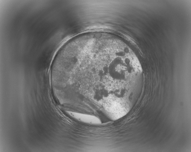 X0000054371275200508262331