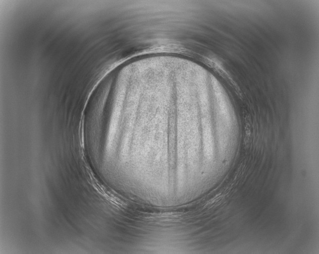 X0000054371276200508262331