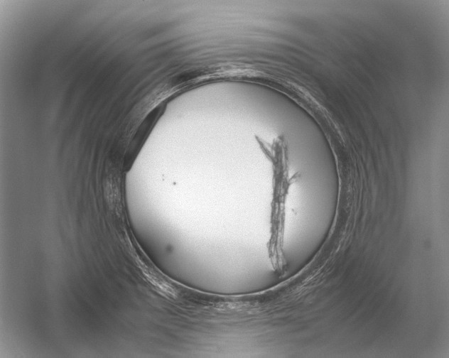 X0000054371281200508262331