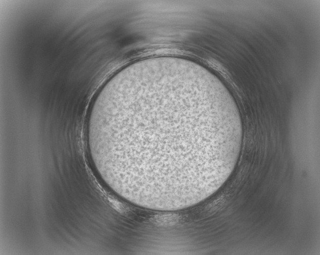 X0000054371282200508262331