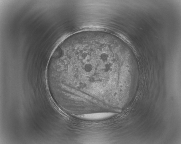 X0000054371283200508262331