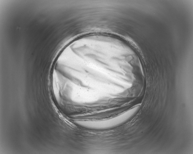 X0000054371287200508262331