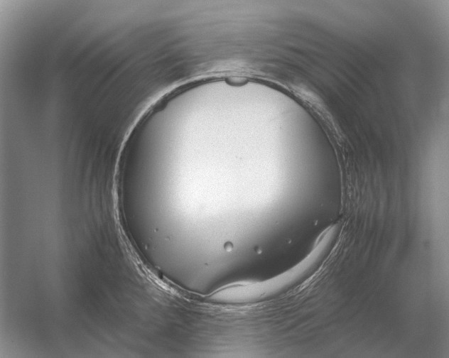 X0000054371288200508262331