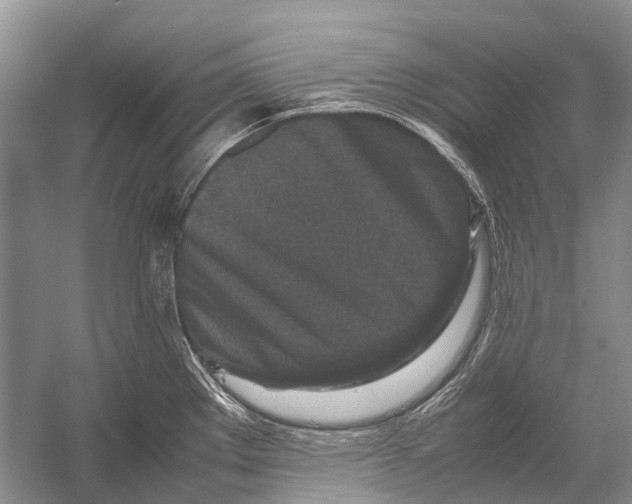 X0000054371289200508262331