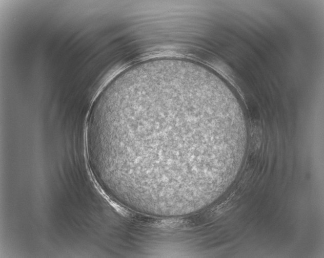 X0000054371290200508262331