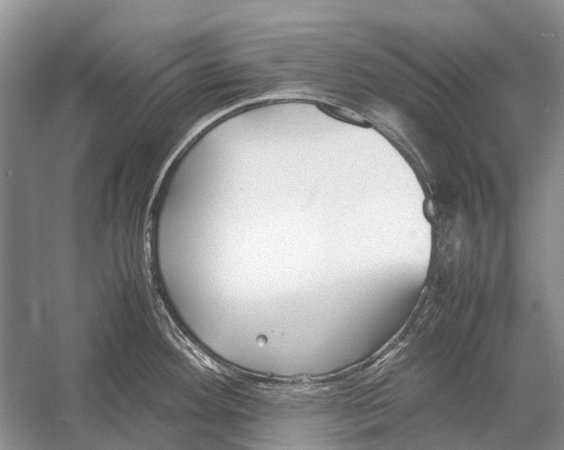 X0000054371292200508262331