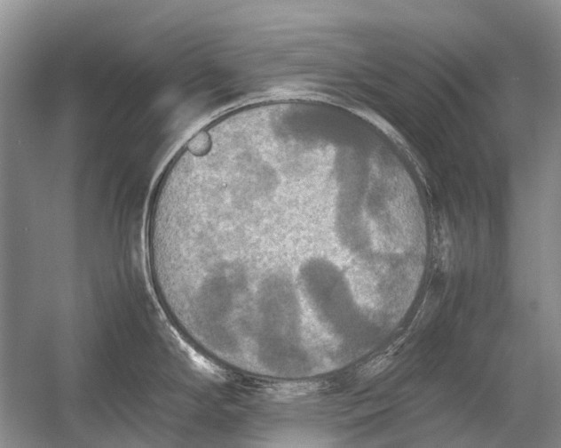 X0000054371294200508262331