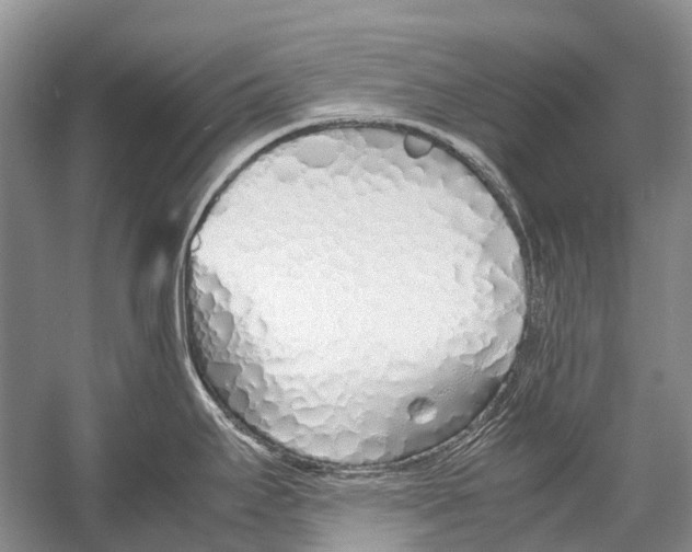 X0000054371295200508262331