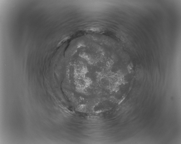 X0000054371297200508262330