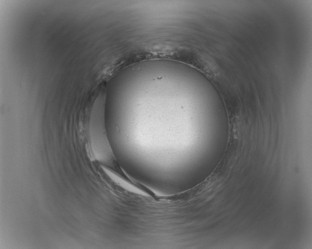 X0000054371298200508262330