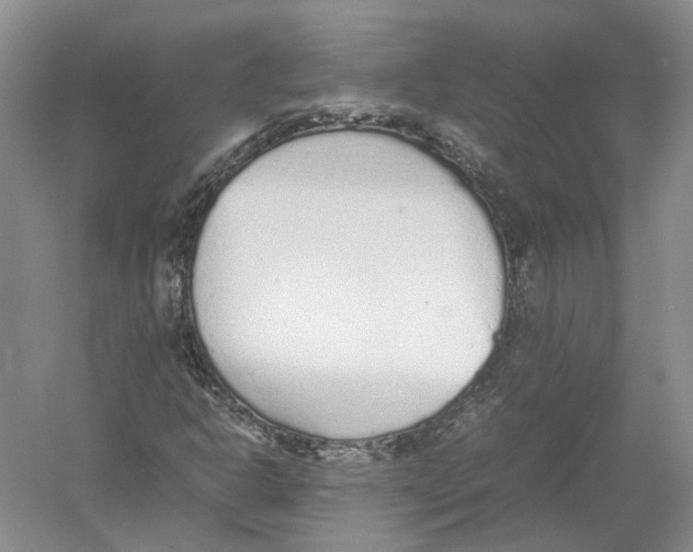 X0000054371302200508262330