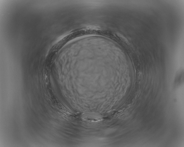 X0000054371303200508262330