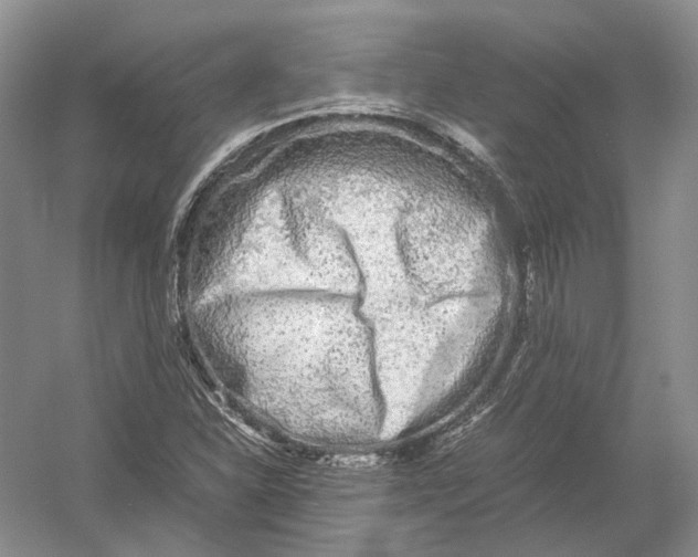 X0000054371310200508262331