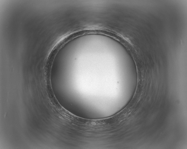 X0000054371311200508262331