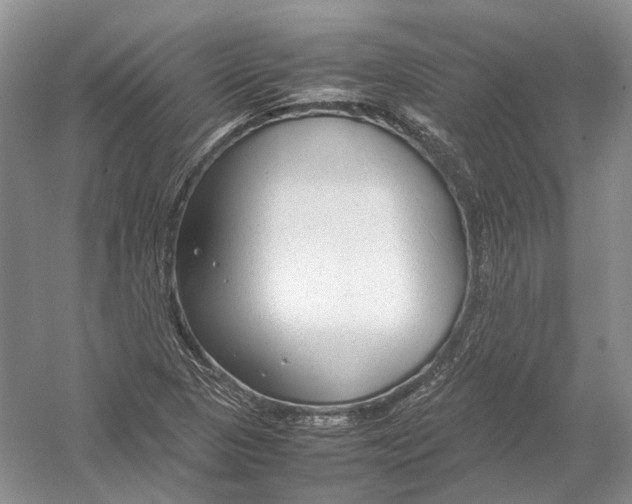 X0000054371313200508262331