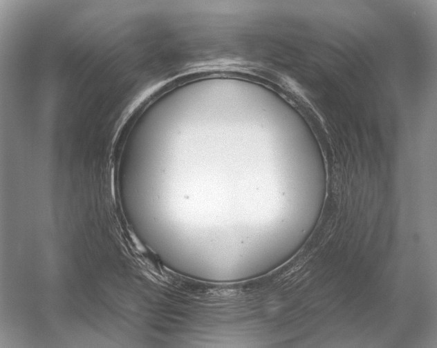 X0000054371320200508262331